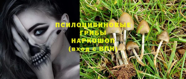 трава Алзамай