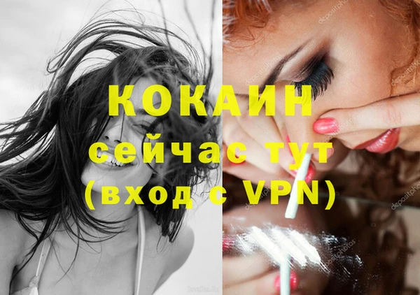 тгк Алексин