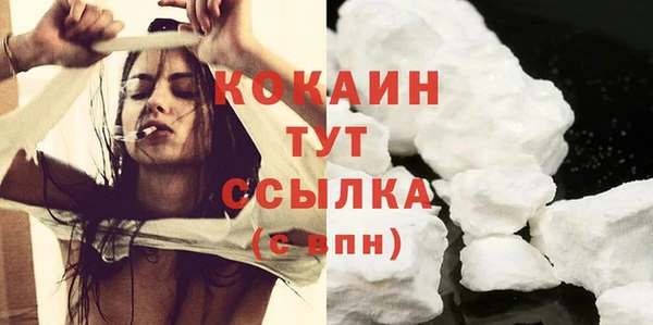 тгк Алексин
