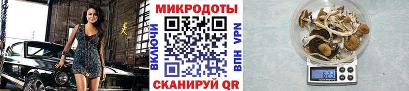 Псилоцибиновые грибы Magic Shrooms продажа наркотиков Боровичи